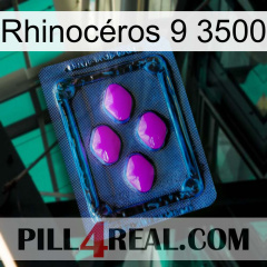Rhinocéros 9 3500 04